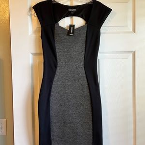 Express bodycon